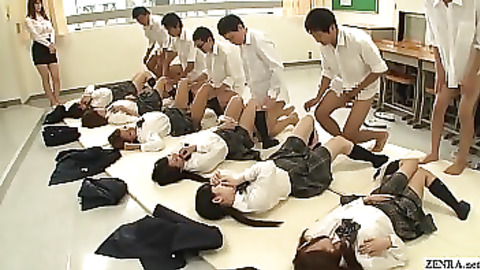 School (18+)