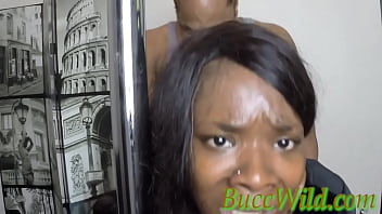 Buccwild