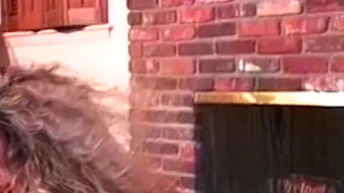 Dyke party turns into a rough, lingerie-clad lesbian orgy with lots of anal