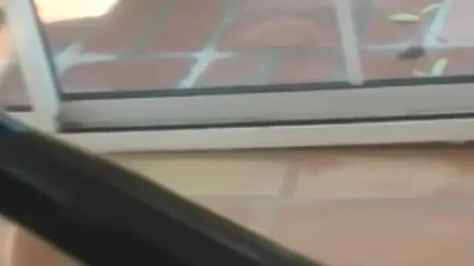 Anastasia Pierce anally played with vintage latex fingers