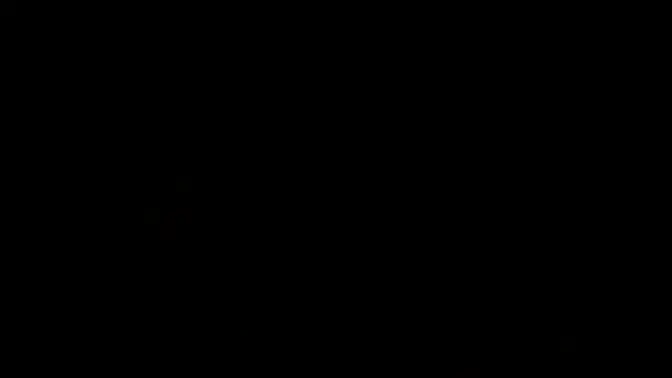 Kacie Castle spreads asshole wide for bigdildo and rough BBC