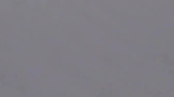 Japanese cuties flash hairy pussies during public peeing