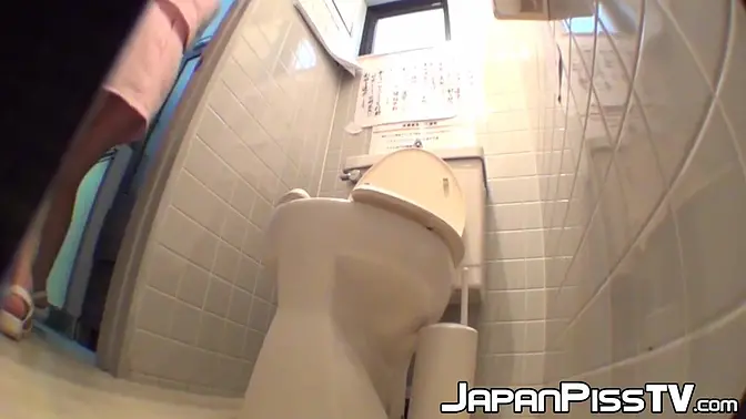 Hairy Japanese babes pee in public toilet