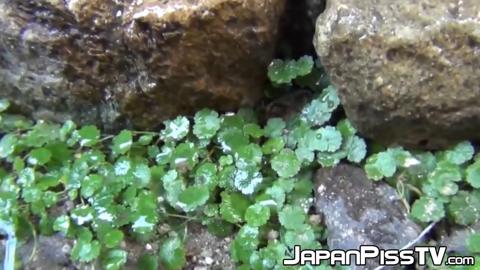 Horny perv records cute jap girls urinating in public
