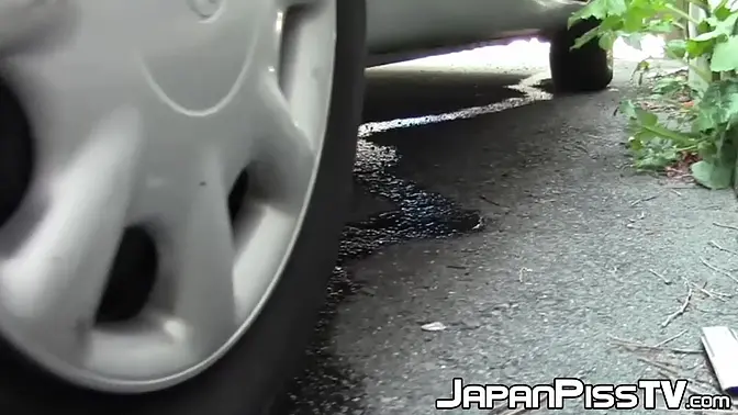 Real Japanese Amateurs Pissing All Around Town