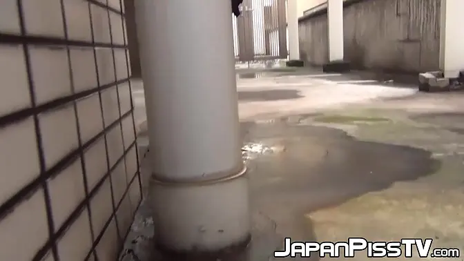 Hidden camera captures Japanese beauties in public golden showers