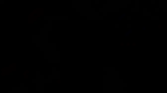 Asian teen Alona Bloom hard fucked by stepdad after blowjob