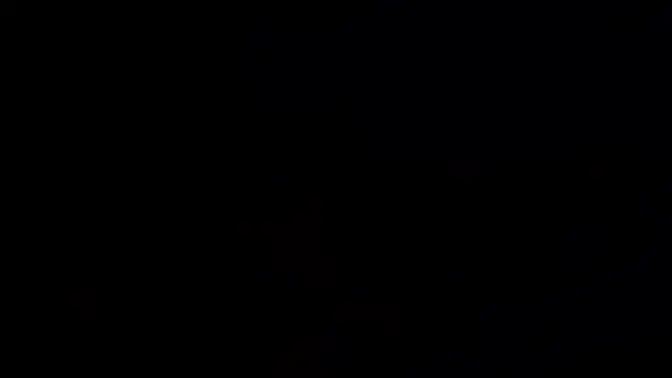 Bambi Black's taboo teen pussy play with stepfather's big cock