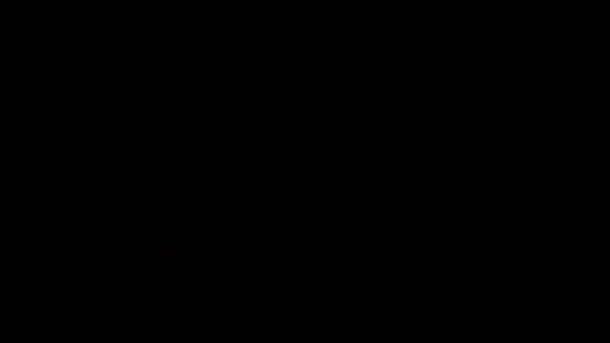 Sexy blonde milf seduces boyfriend with big cock and lingerie