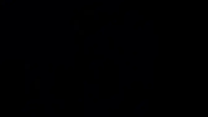 Wild step  threesome with Alita Lee and Skylar Snow