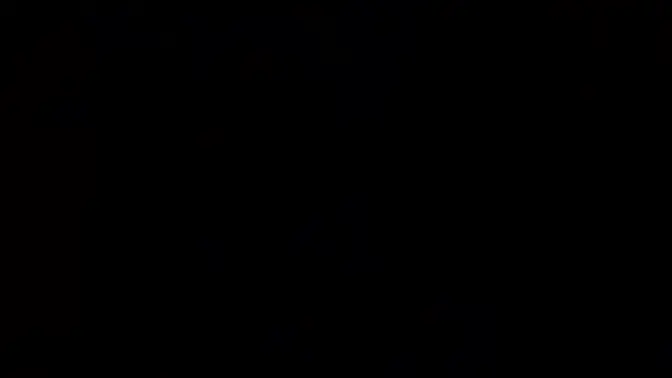 MILF Brandi Love has forbidden 3some sex with Ryder Rey