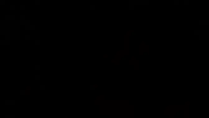 Teen blonde Lexi Brooke's POV reverse cowgirl and missionary