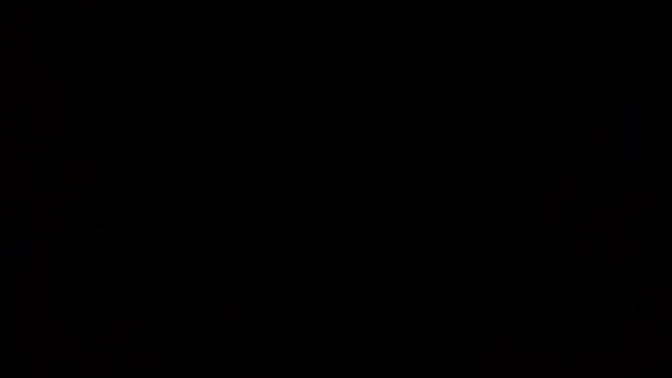 Hottie Joseline Kelly POV banged and creampied by stepdad