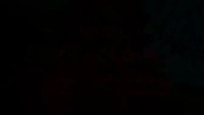 Stepdaughter sucks dad off before letting him fuck in doggy