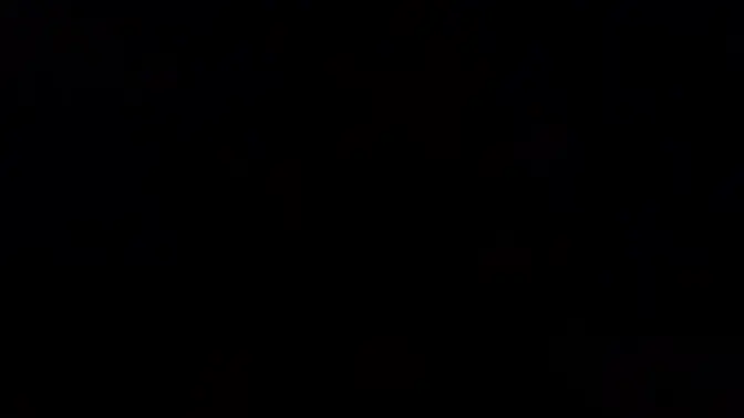 Lacy Lennon rides cock in stockings with natural big tits