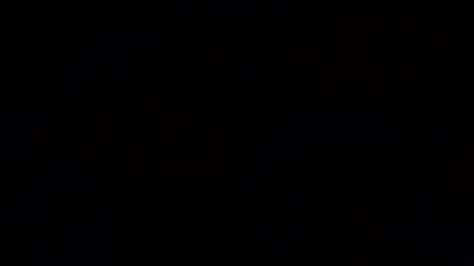 Vienna Black takes a big dick in reverse cowgirl to avoid jail