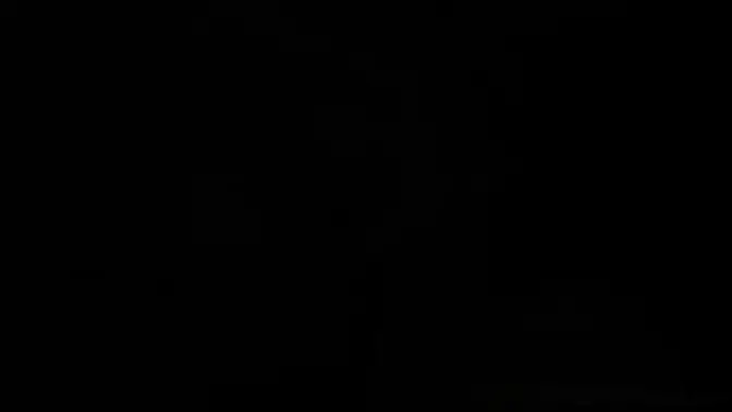 Slutty Joana Intense bounced her pussy on my dick after blowjob