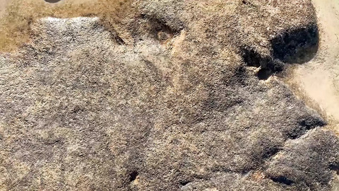 Beach bum gets ass🍑-fucked by lifeguard in hot wet porn escapade