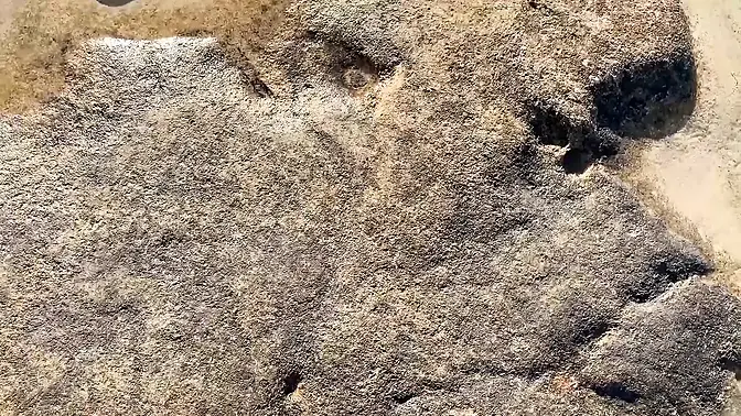 Public anal fuck and creampie