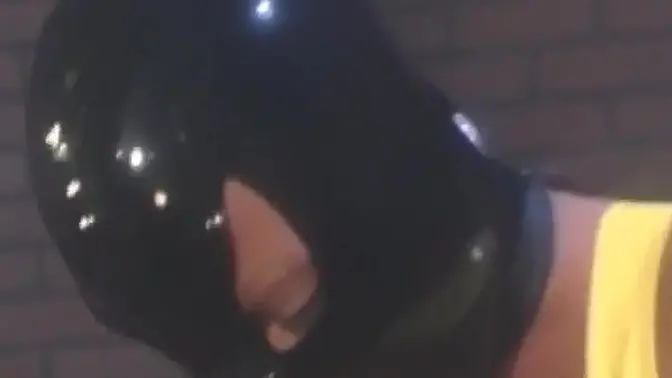 PussyCatsLatex com - Busty latex-clad sluts devouring each other′s wet holes