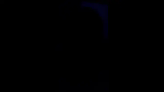 Latina babe gives sloppy blowjob and rimjob leading to an anal creampie