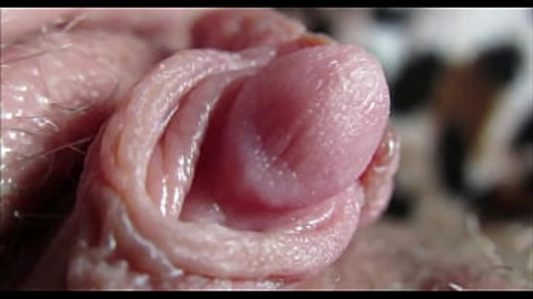 pussy orgasm pussy orgasm