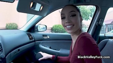 Ebony tips random driver with her tight pussy