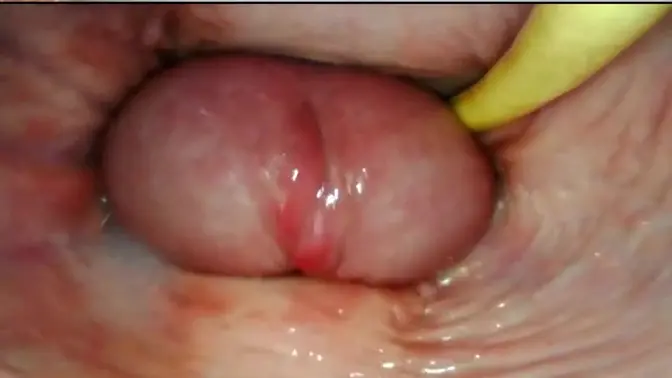 Cum-Filled Creampie POV: Tight Pink Pussy Gapes and Squirts