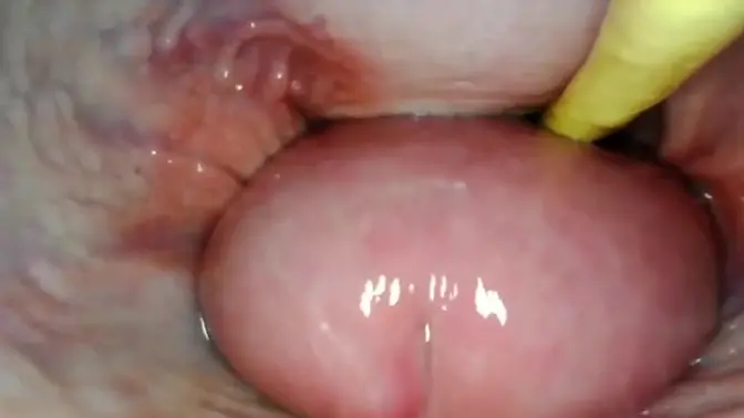 Cum-Filled Creampie POV: Tight Pink Pussy Gapes and Squirts