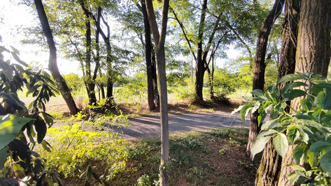 Crusty hag ravaged on bike trail gets pummeled on bench, big rig destroys all plans