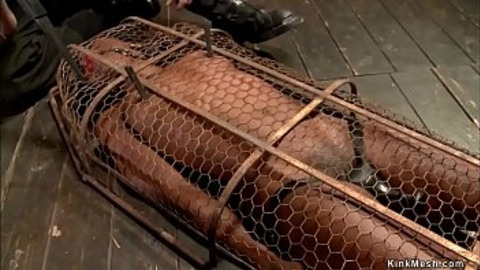 Hot ebony slave slut is shackled in back bend device bondage and gets whipped then in small metal cage gets intense pussy vibrated by master