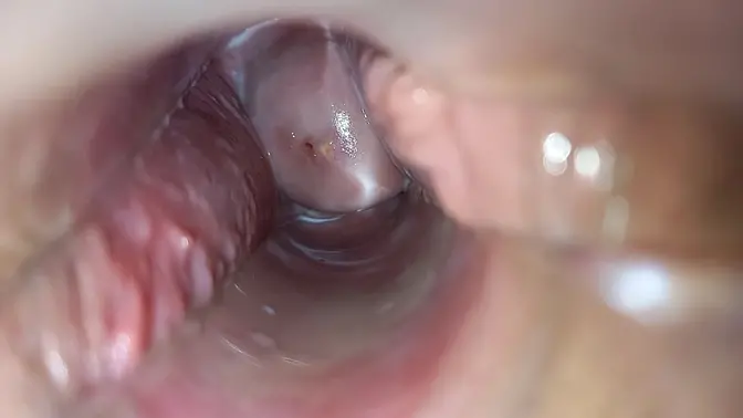 Throbbing Vagina Orgasm