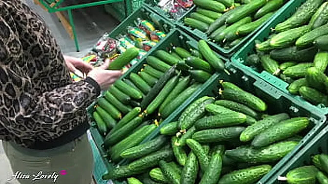 The Biggest Cucumber in the Store Will Fuck My Kinky Friend′s Wet Pussy Today - Fetish Plant Dildo Play POV