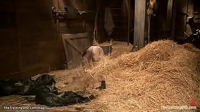 Blonde trainee Penny Pax gets whipped and fucked in bondage