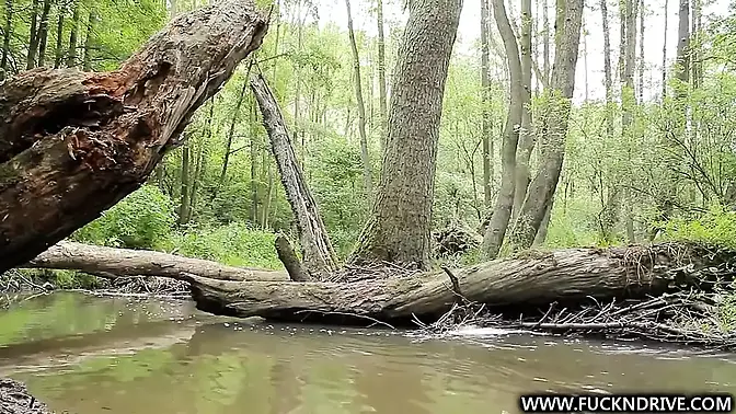 Fuckndrive - Forest Adventure