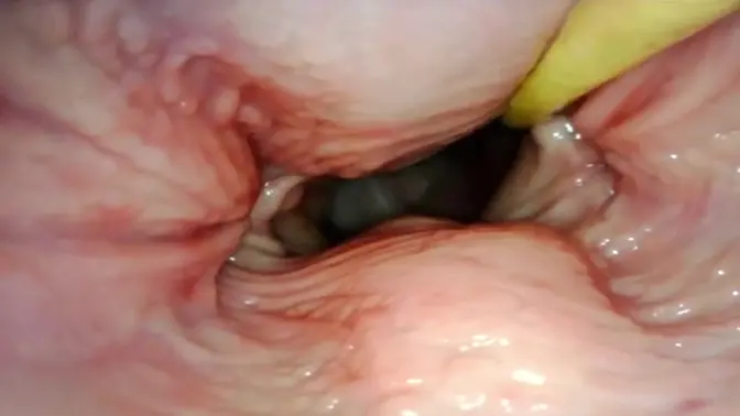 Internal POV of a tight pink pussy filled with cum