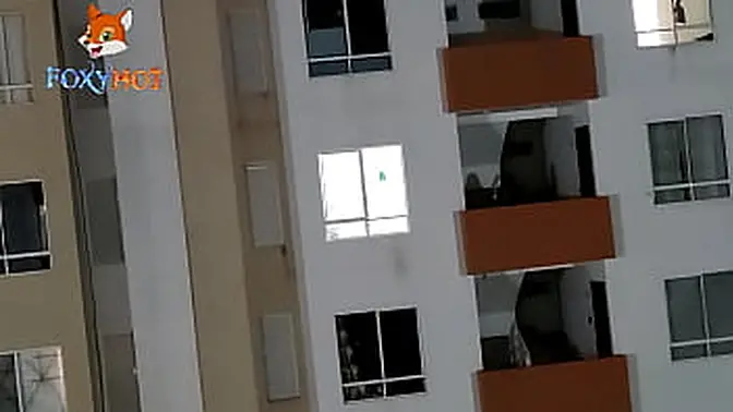 A preview of what you can see in my streaming