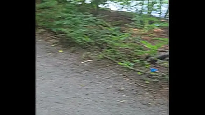 Exhibitionist Women of Stuttgart Show Off