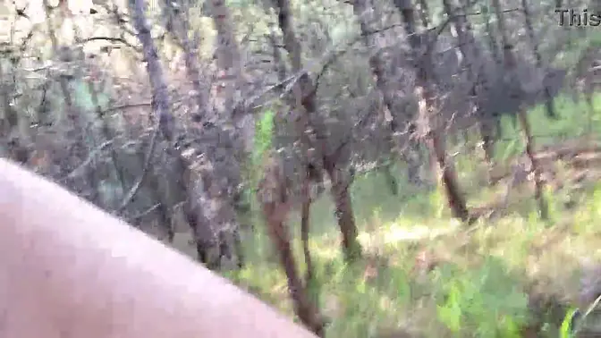 Clitlicker662 - update #48 - IMG 1474 - Jul 10 &mdash;  2025