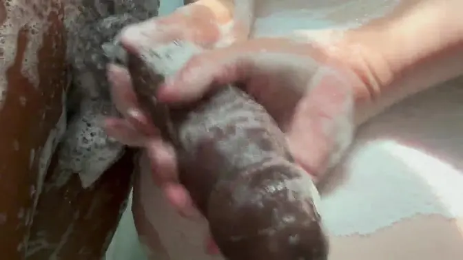 Latina teen with big booty cheats on her wife and takes black cock in the shower