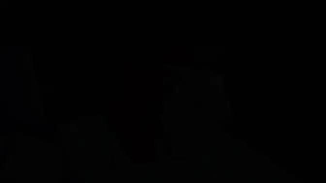 Roblox Girl gets dominated by futa cock