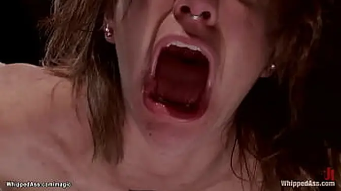 Lesbiangirl tied and whipped, gets her ass fucked with a wooden pony and anal dildo