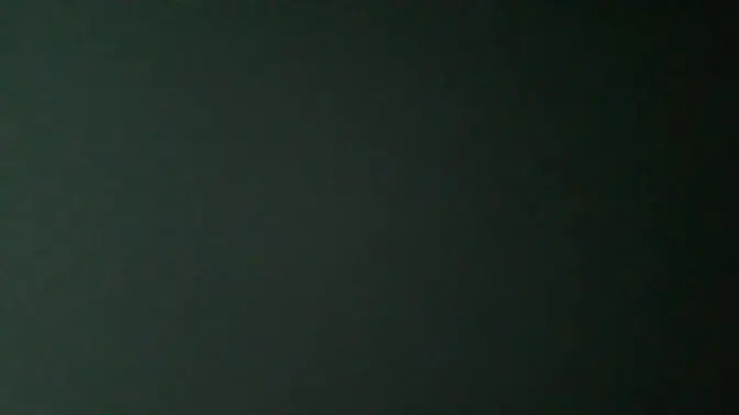 Gilf Sucks Dick and Gets Fucked on Webcam