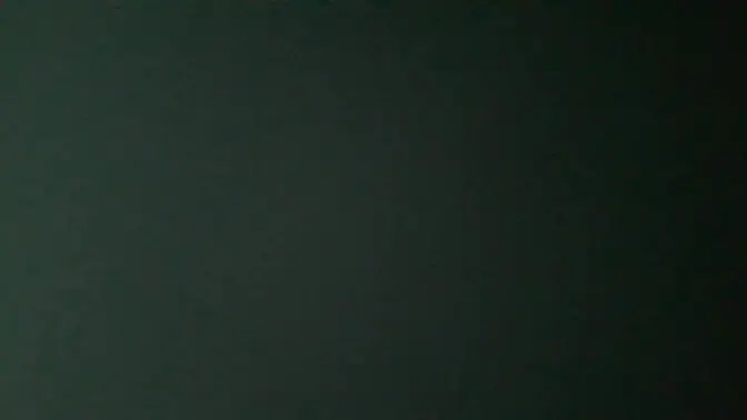 Gilf Sucks Dick and Gets Fucked on Webcam