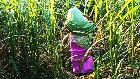 Friend's new daughter-in-law gets banged raw in sugarcane field by her hubby's best bud