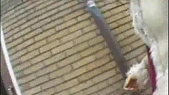 Japanese babe gets fucked in public