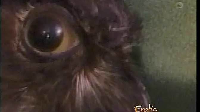 Two horny sluts let a sexy domina do naughty things to them