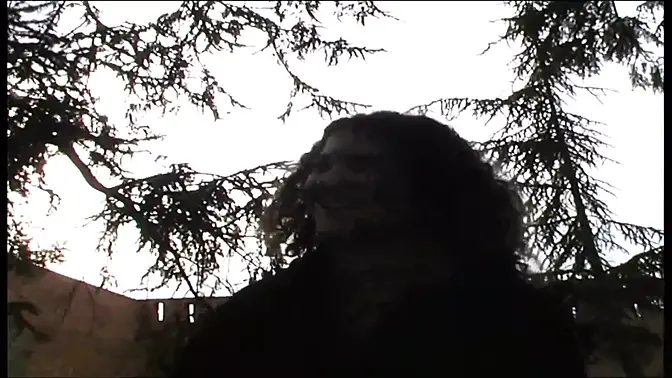 Italian Beauty's Wild Delirium