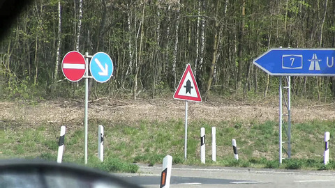 I know exactly what they want: 'German Milf gets wrecked in her whip'