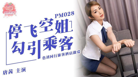 Nasty Flight Attendant Gets Fucked in Luxury Hotel Suite - Chinese Porn